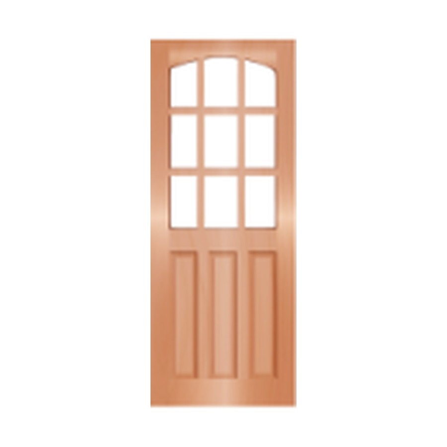 Puerta Futrono